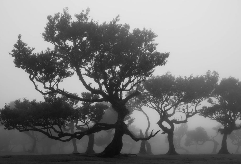 Black & White Photography